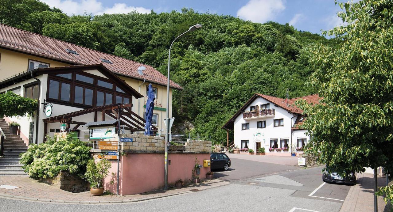 Hotel Berg pet-friendly hotel Bolanden