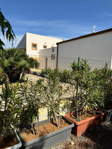 Baglio Eldama — Castelvetrano — photo 2