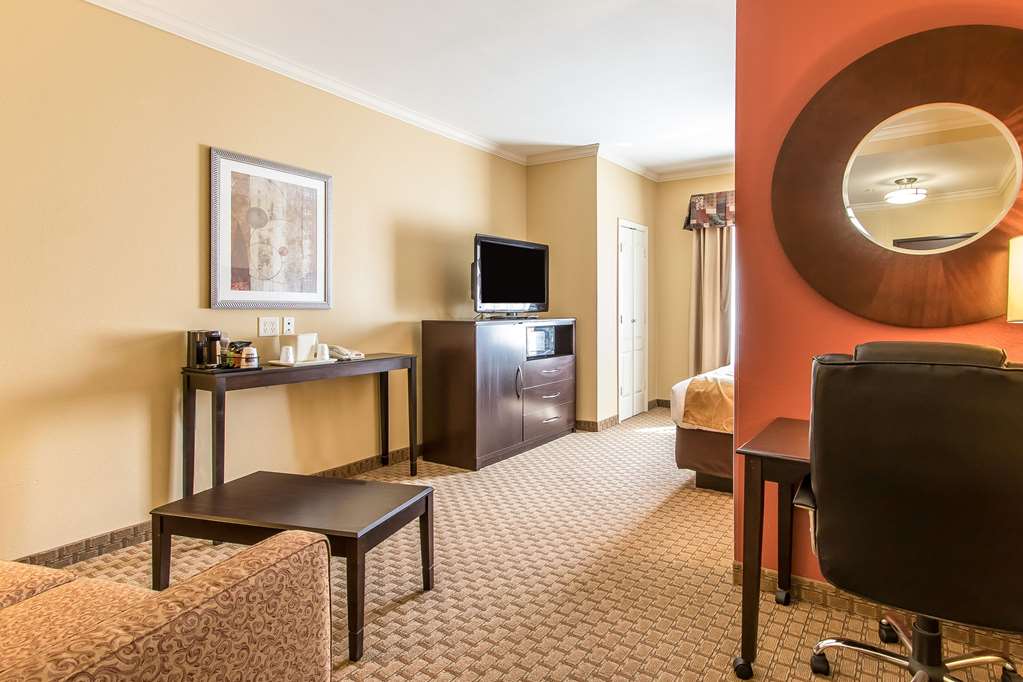 Comfort Suites Lawton Near Fort Sill - photo 8
