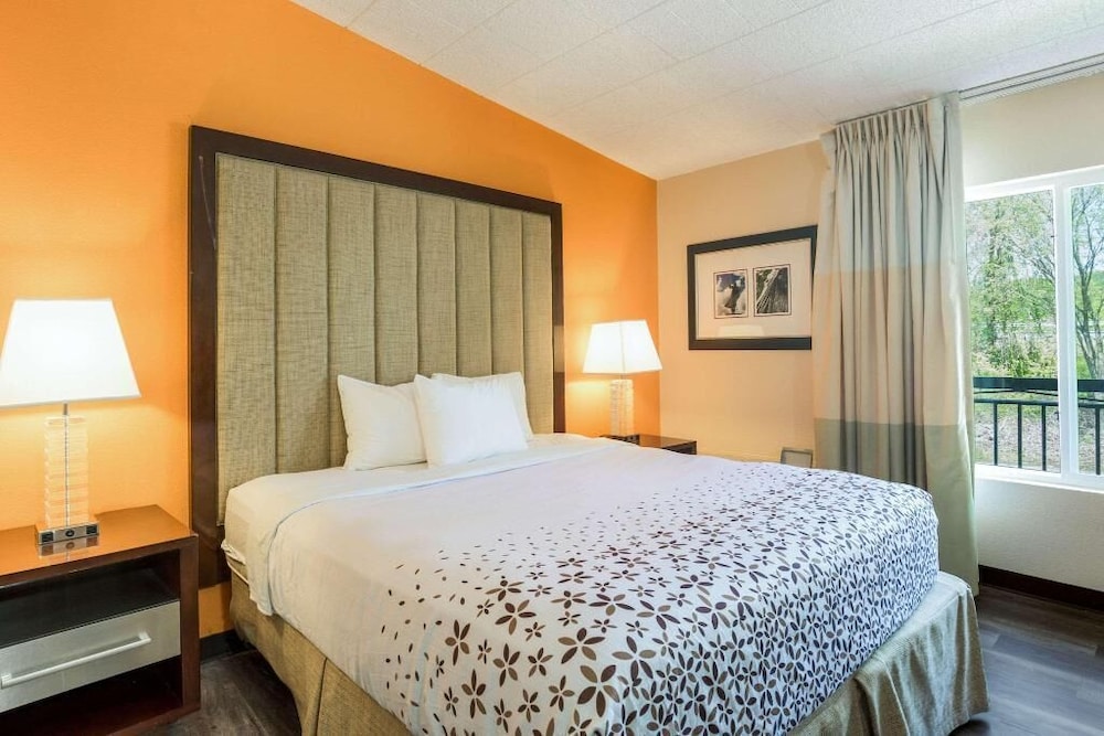 Rodeway Inn & Suites Stroudsburg Poconos - photo 3