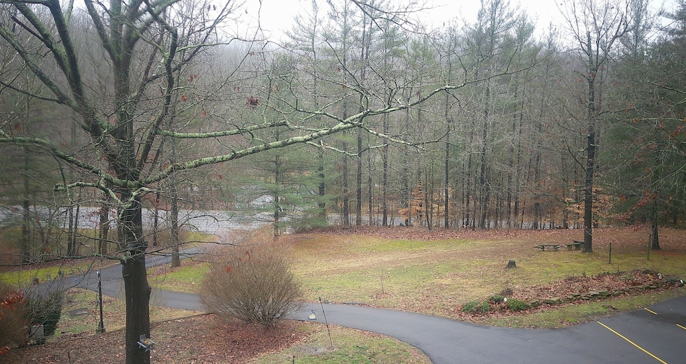 Lil Black Bear Inn - photo 145