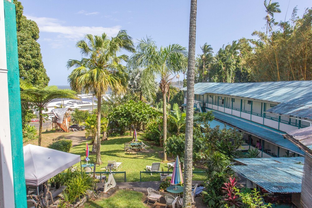 Wild Ginger Inn Hotel - photo 47