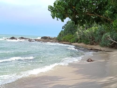 Meadow Cabanas - last minute hotel in Tangalle