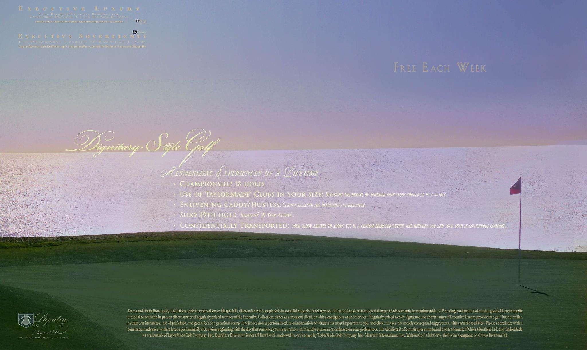 Dignitary Discretion Newport Beach - photo 4