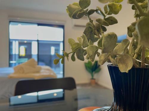 Vibrant Modern City Stay — 4-Star Luxury Hotel in Christchurch, New Zealand