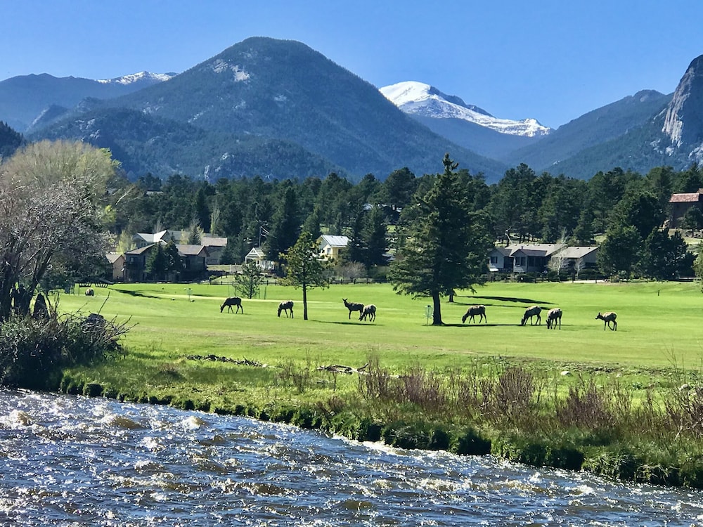 Mountain Shadows Resort - photo 17