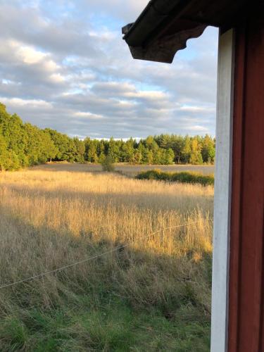 Schwedenhaus Alleinlage — Bergkvara — photo 3