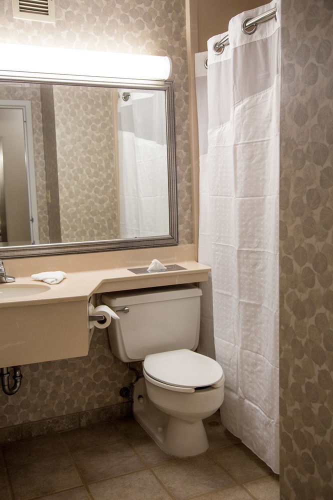 Ramada Plaza Rochester Airport - photo 61