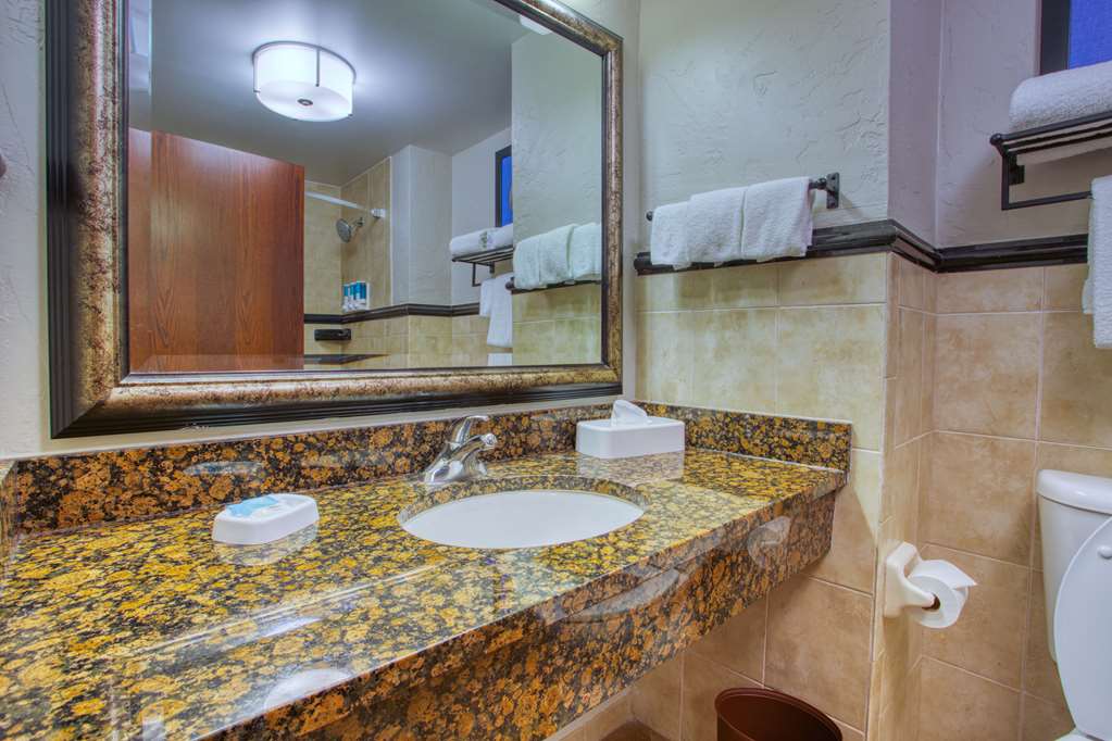 Drury Inn & Suites Near La Cantera Parkway - photo 28