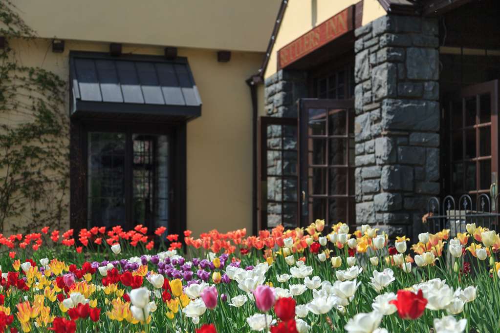 The Settlers Inn - photo 13