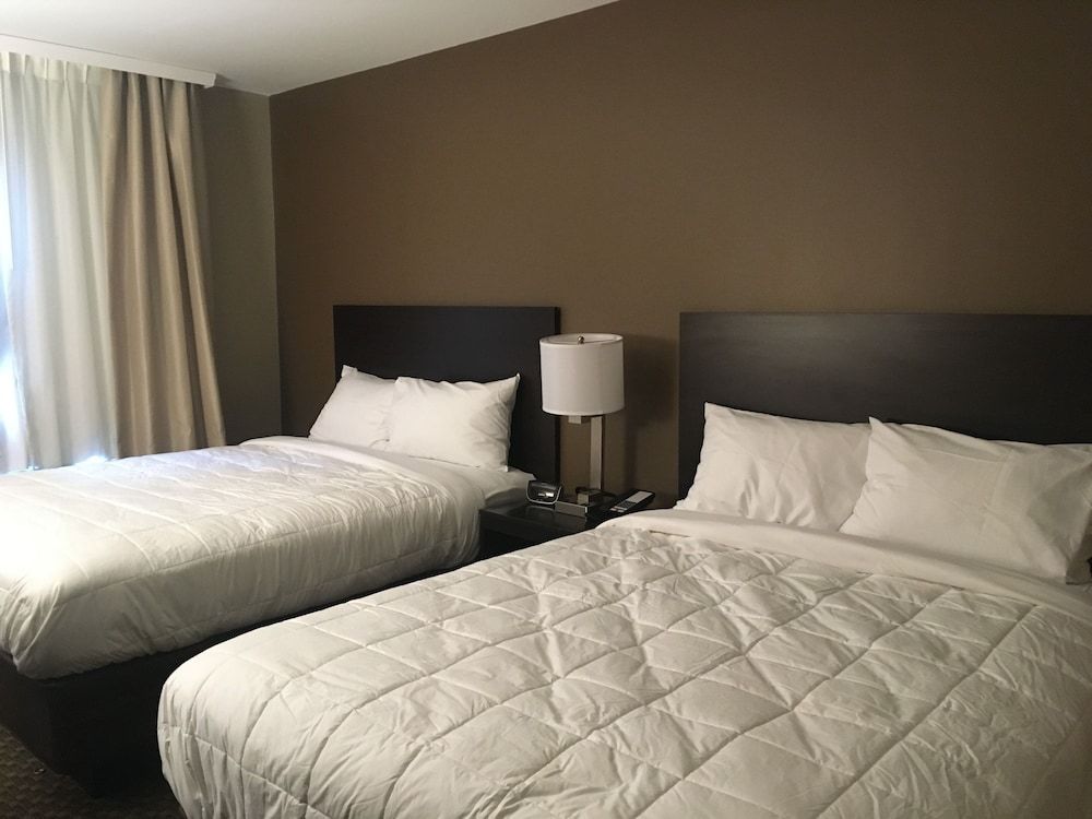 The Williams Hotel - photo 9