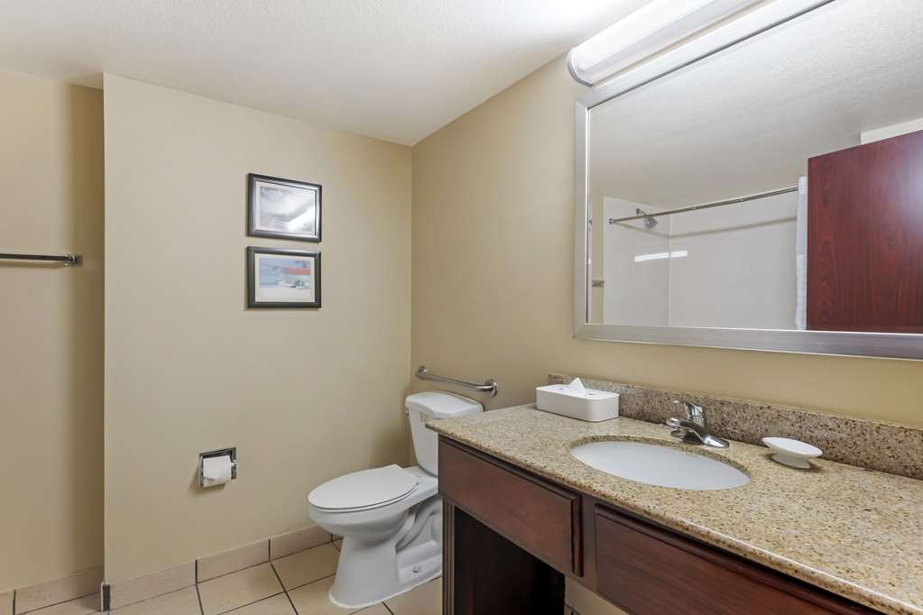 Comfort Inn & Suites Tavares North - photo 13