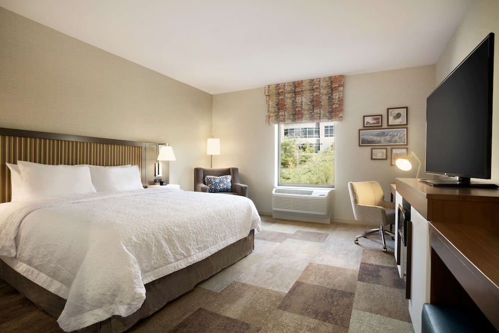 Hampton Inn Salt Lake City Cottonwood UT - photo 6