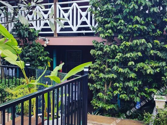 Plantation Red Hill Brisbane — hotel in Red Hill