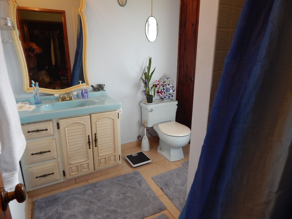 Fern Forest Getaway - photo 24