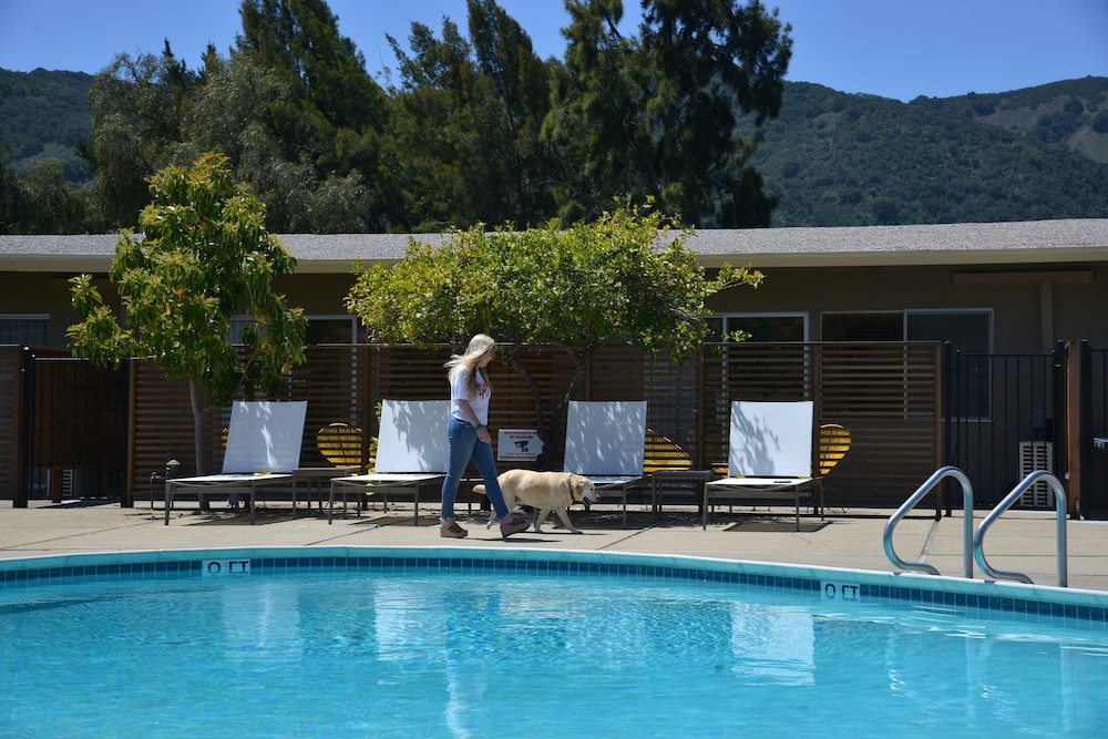 Contenta Inn - photo 37
