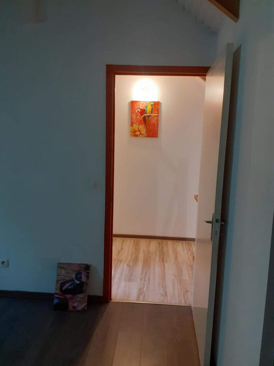 Duplex Hibiscus - carbon neutral hotel in Unknown City