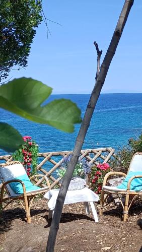 Villa Teresa sul mare — 4-Star Luxury Hotel in Castelsardo, Italy