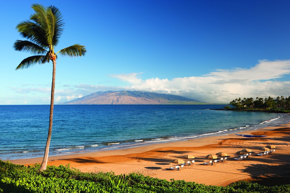 Four Seasons Resort Maui at Wailea - photo 110