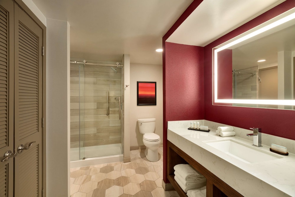 Embassy Suites by Hilton Phoenix Downtown North - photo 31