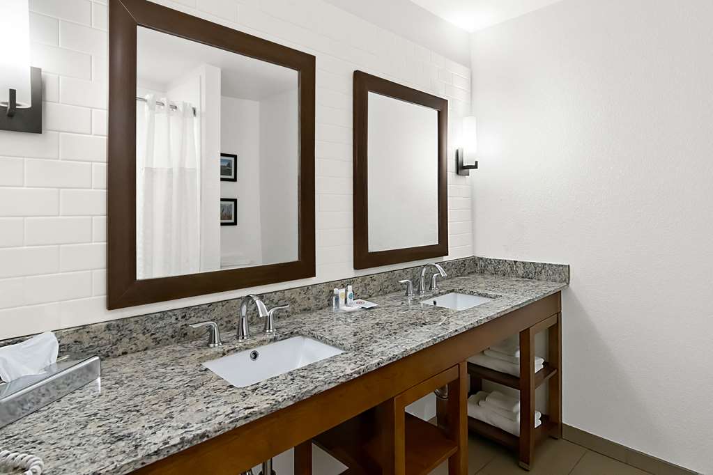Comfort Suites Rensselaer near Fair Oaks - photo 34