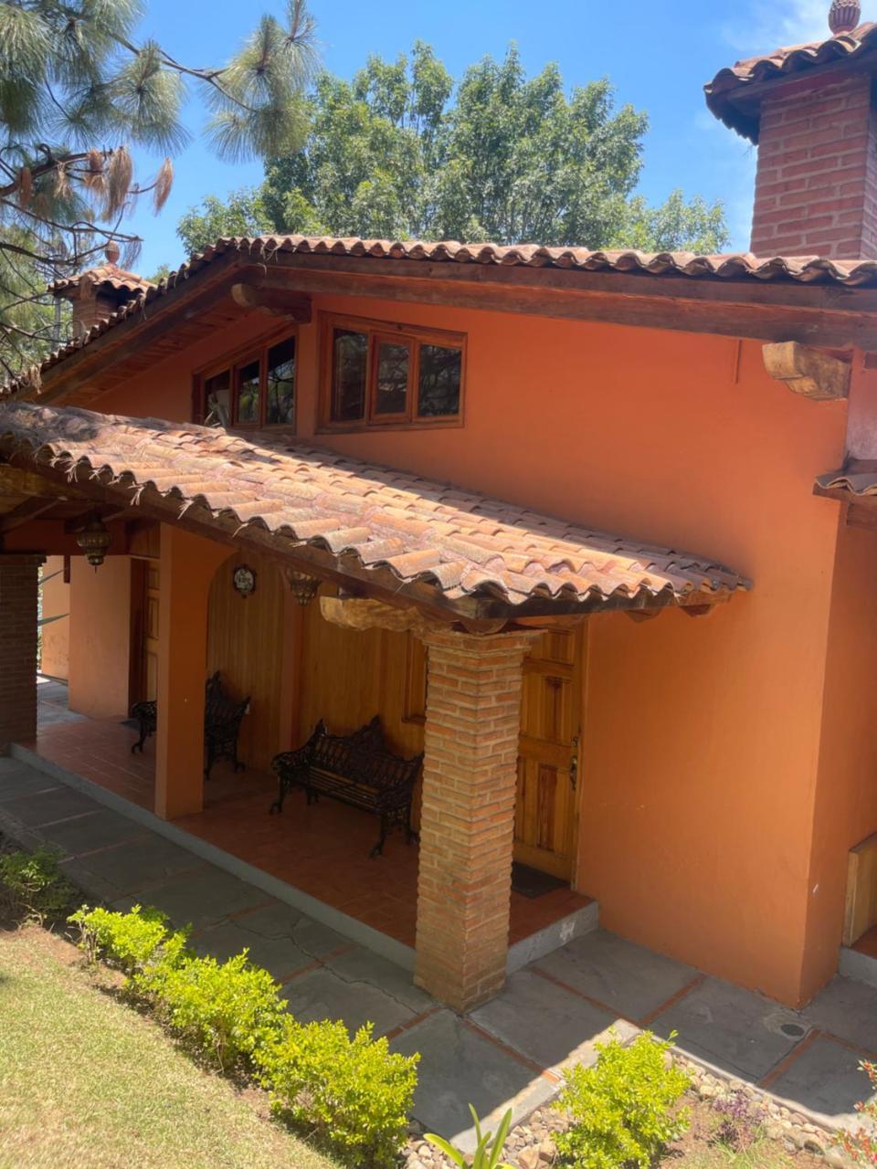 Tulipán in Mazamitla, Mexico