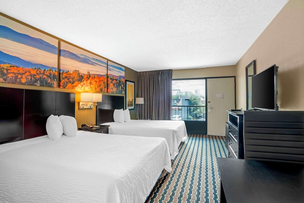 Quality Inn near Speedway - photo 8