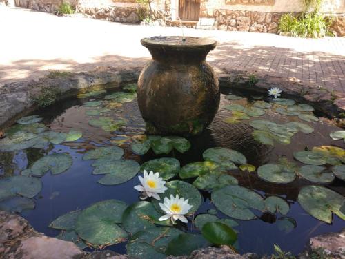 El Molino de Iramala — Salobre — photo 2