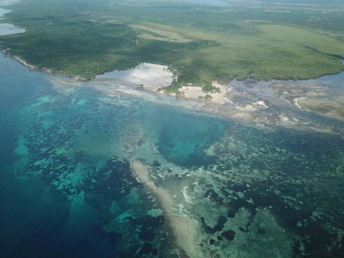 Fish Eagle Point — Tanga — photo 5