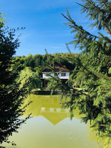 Cabana Țibleș Bichigiu — Bichigiu — photo 5