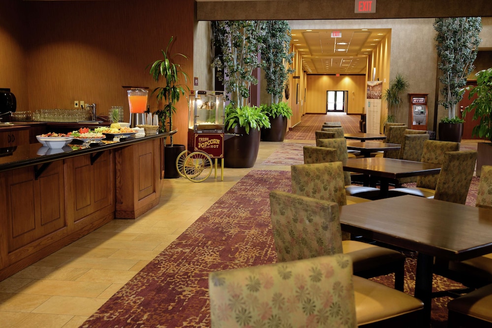 Embassy Suites by Hilton Minneapolis North - photo 40