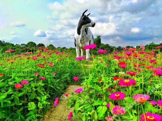 Lexiang Ziran Zhijia Inn in Kaiping, People's Republic of China
