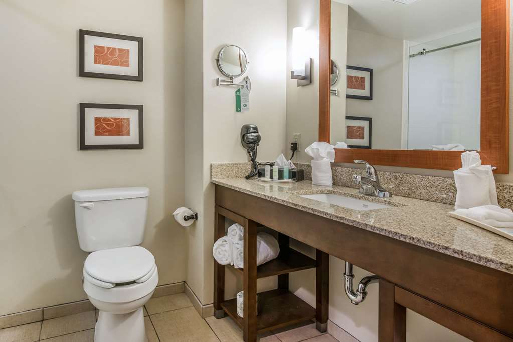 Comfort Suites Dunnellon near Rainbow Springs - photo 7