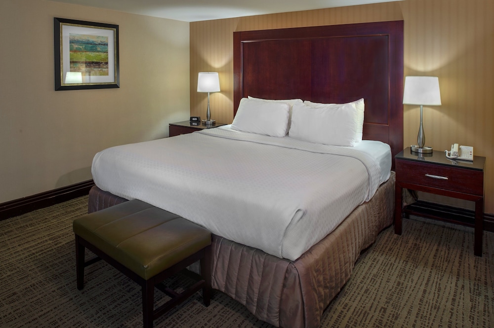 Crowne Plaza St. Louis Airport by IHG - photo 43