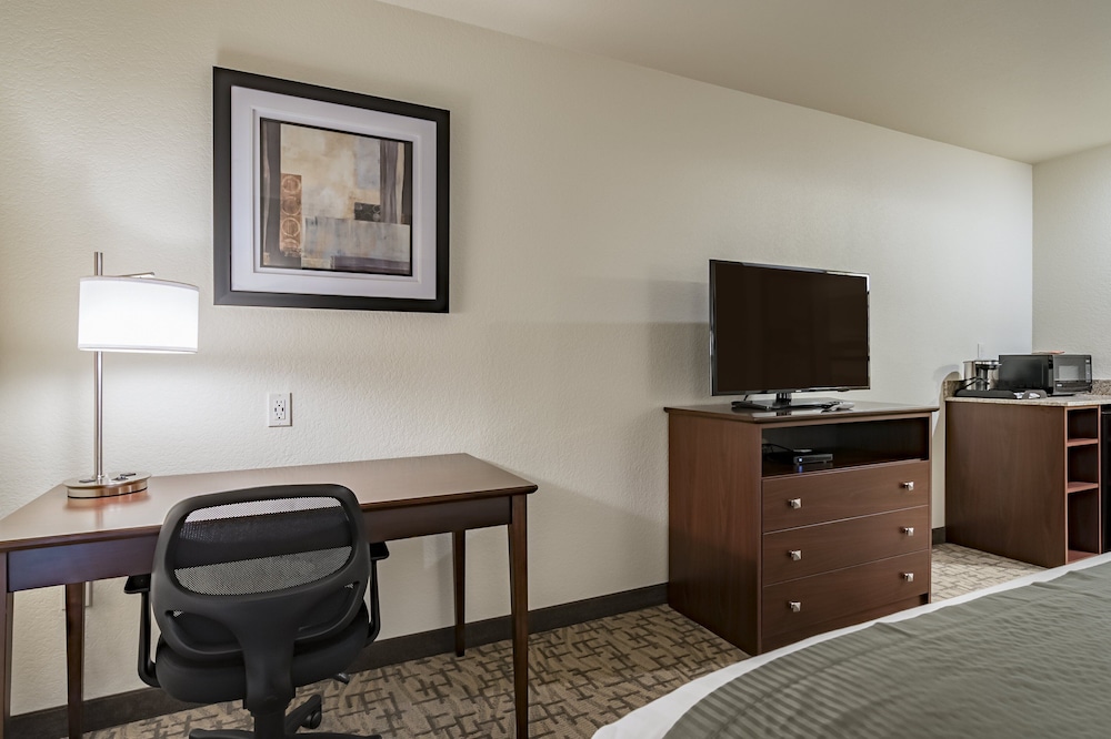 Cobblestone Hotel & Suites Greenville - photo 16