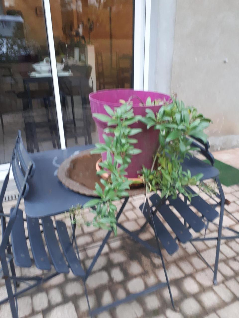 Les Ecureuils Bourguignons — hotel in Montchanin
