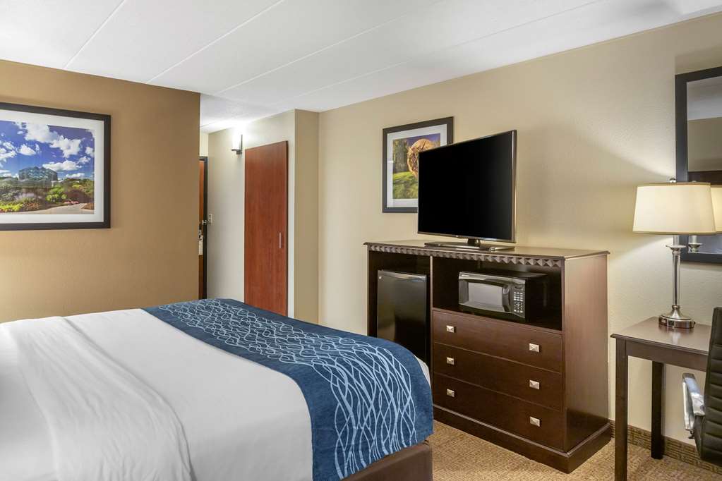 Comfort Inn Grand Rapids Airport - photo 14
