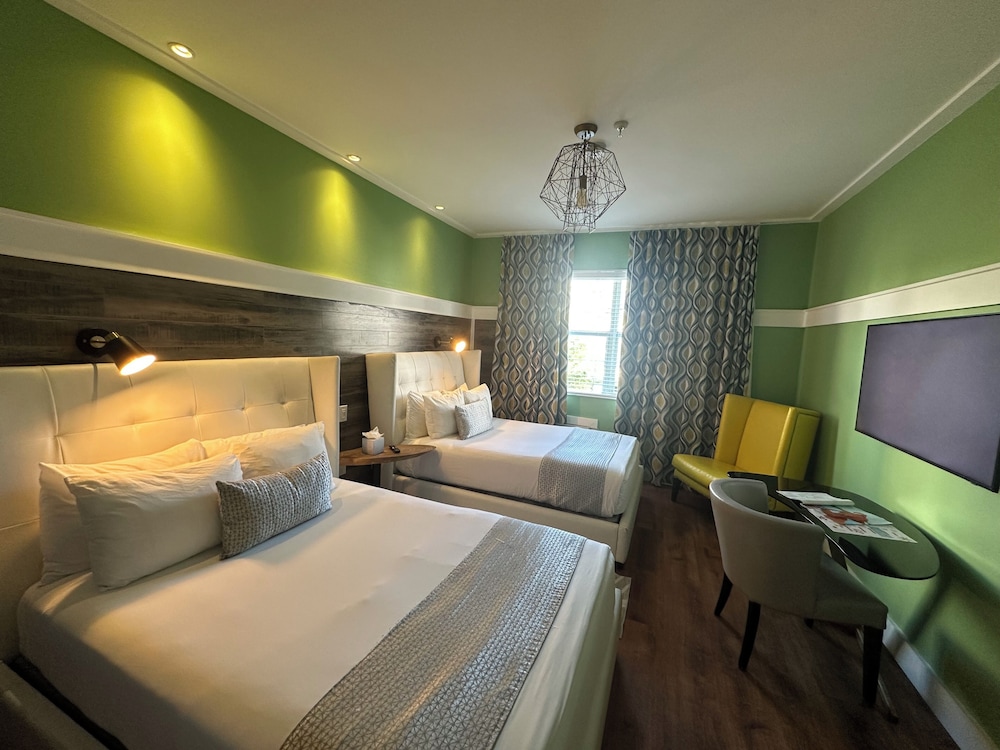 Dorset Hotel - photo 18
