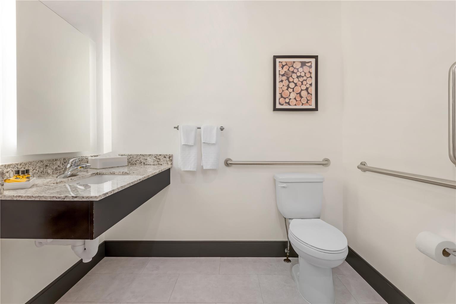 Best Western Plus Isanti - photo 50