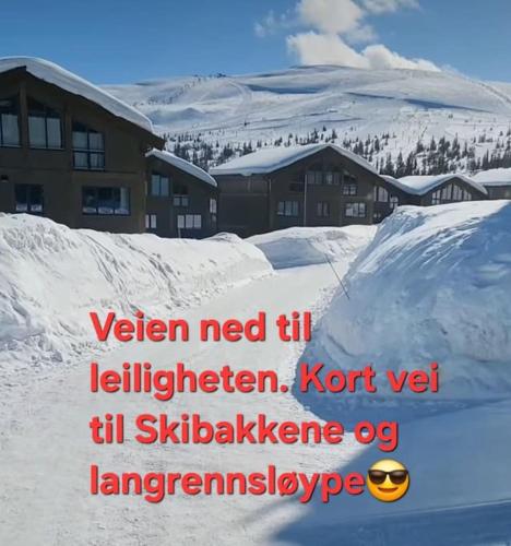 Ski in Ski out Trysil in the mountain of Norway 60m from the Slopes — 4-Star Luxury Hotel in Innbygda, Norway