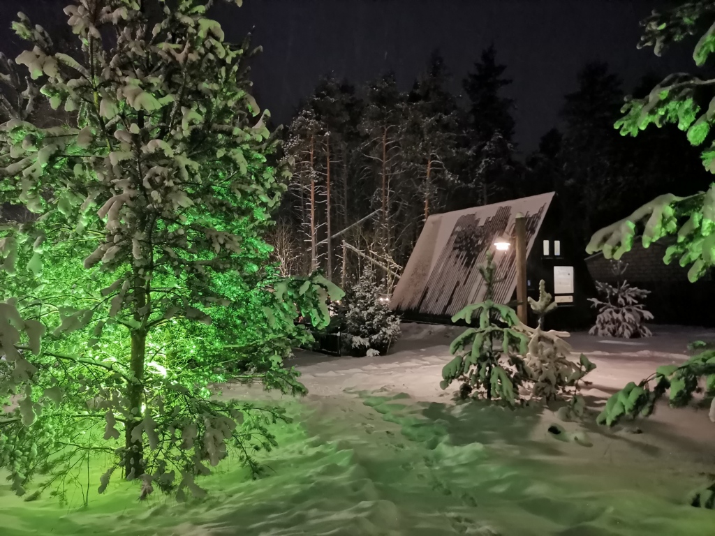 A v Lesu Glamping in Ramenskoye, Russia