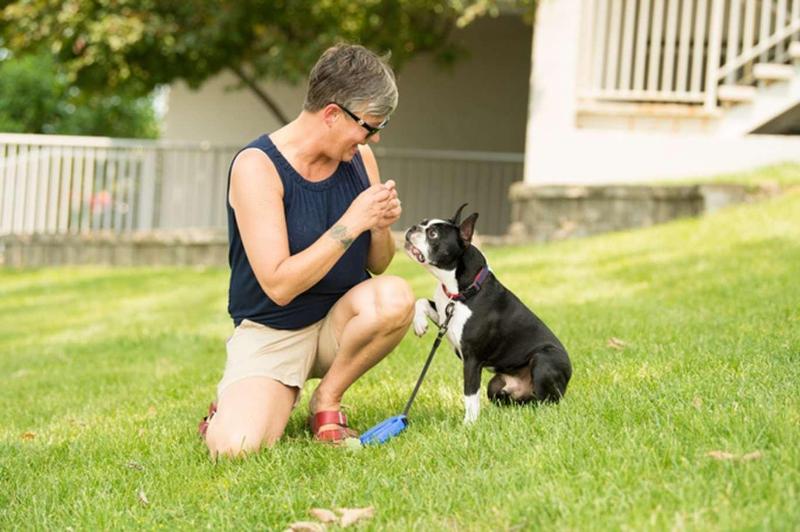 The Resort at Lake of the Ozarks - featured photo