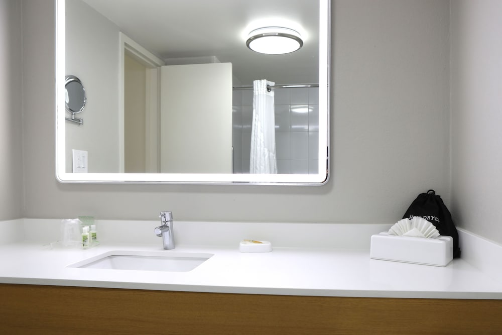 Holiday Inn Chicago O'Hare Area by IHG - photo 37