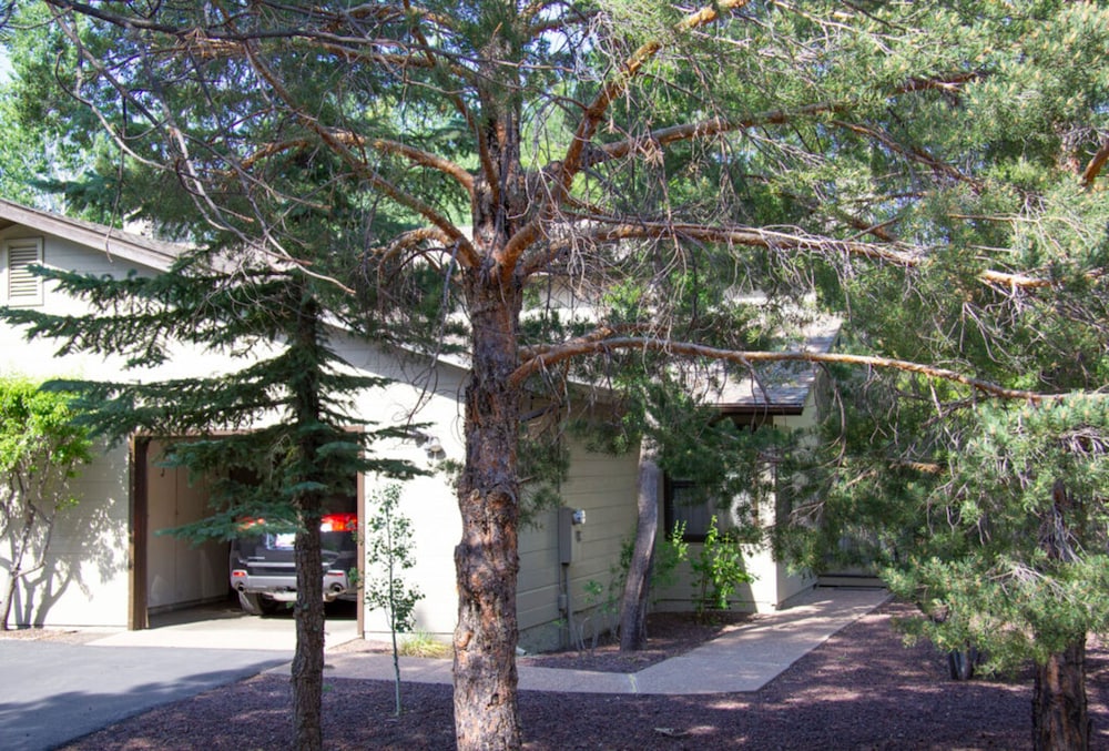 Quality Hill Resort - photo 38