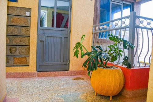 Elyon One bedroom furnished in Kasarani Nairobi