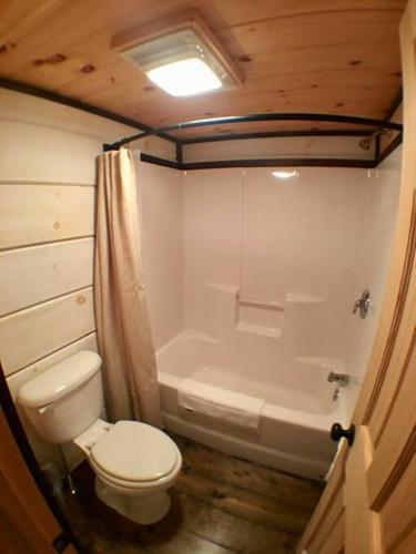 Tiny Home Cottage Near the Smokies #1 Olga - photo 9