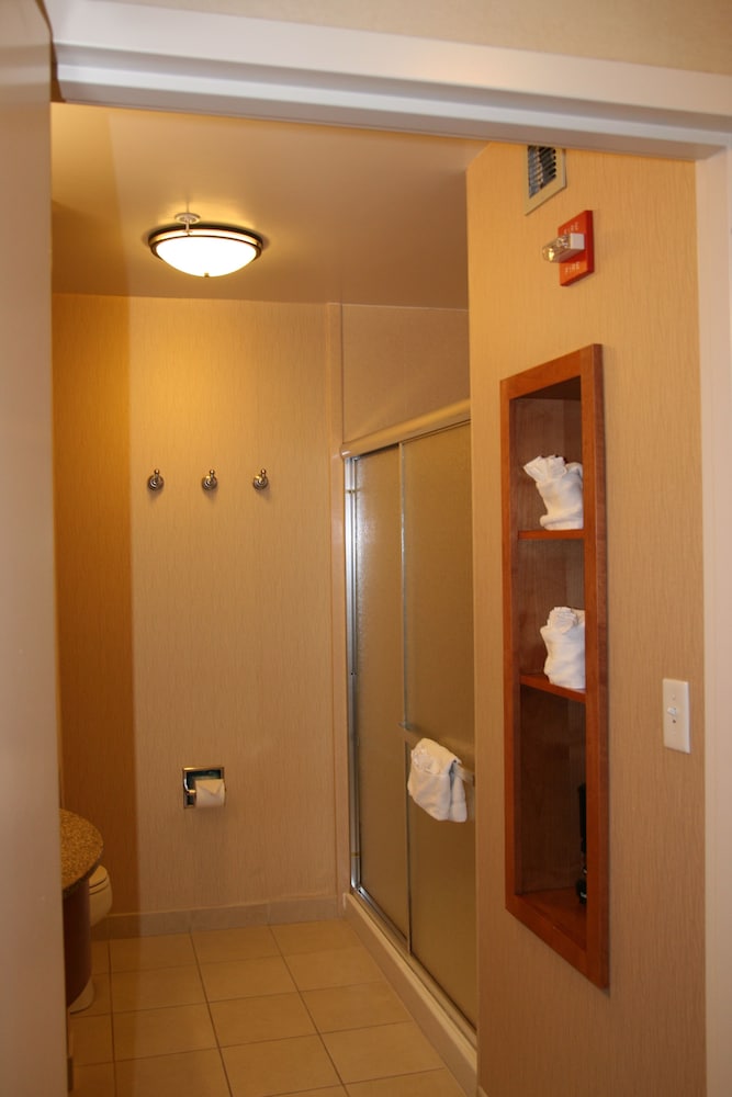 Hampton Inn & Suites Bakersfield North Airport - photo 18