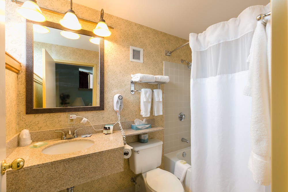 Sugarloaf Mountain Hotel - photo 20