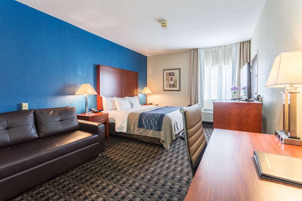 Comfort Inn Decatur Priceville - photo 12