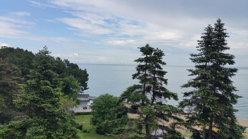 Zdravets pet-friendly hotel Zlatni Pyasatsi